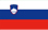 Slovenia flag